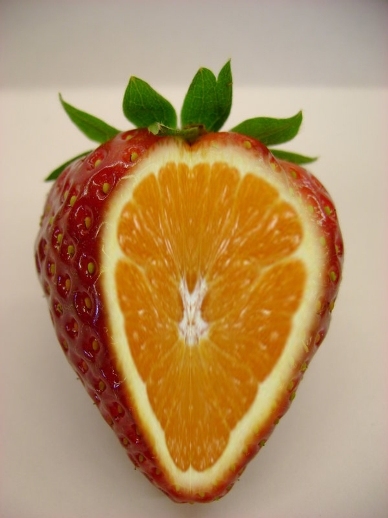 Keresd a boltokban . . . hátha