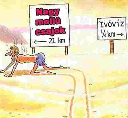 Melyik a fontosabb ?