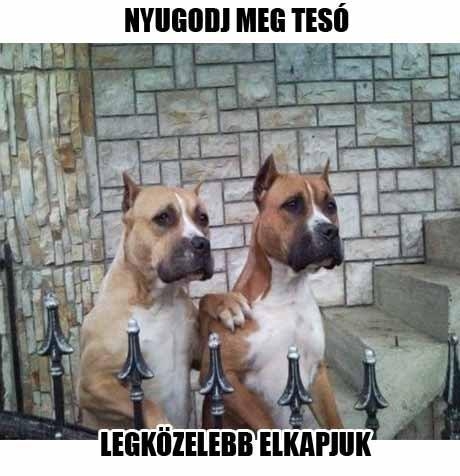 Majd legközelebb . . .