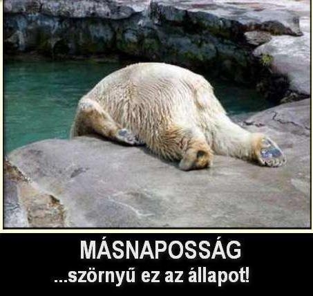 Így érzem magam most . . .