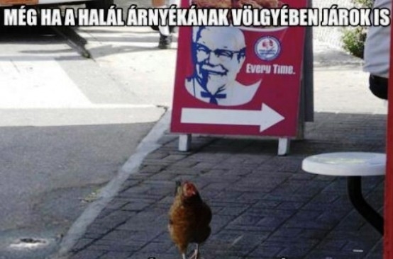 Napi KFC - Nem félek a gonosztól...