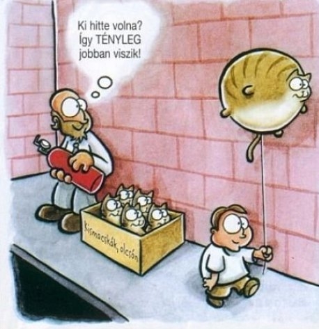 Leleményes macskaárus