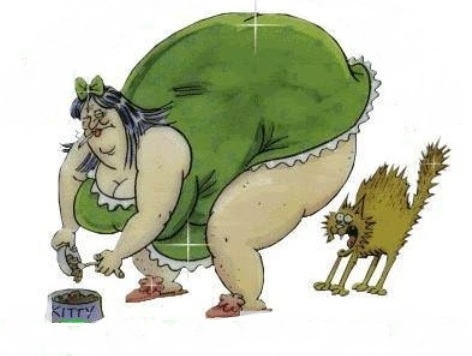 A te napod, hogy indult? :P