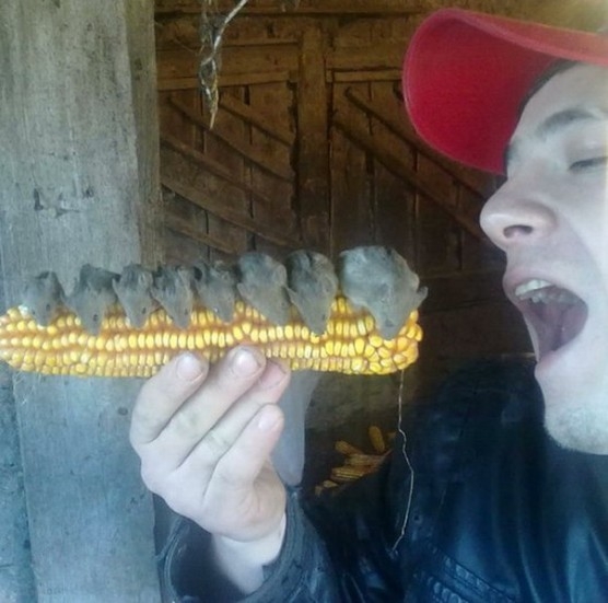 Jó étvágyat hozzá :P