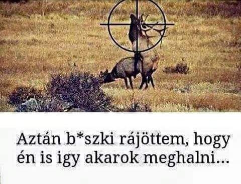 Először nem akartam lőni...