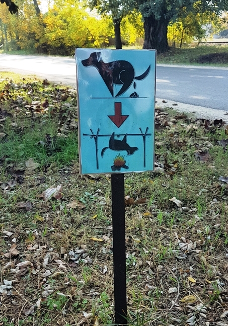 Napi kutyagumi