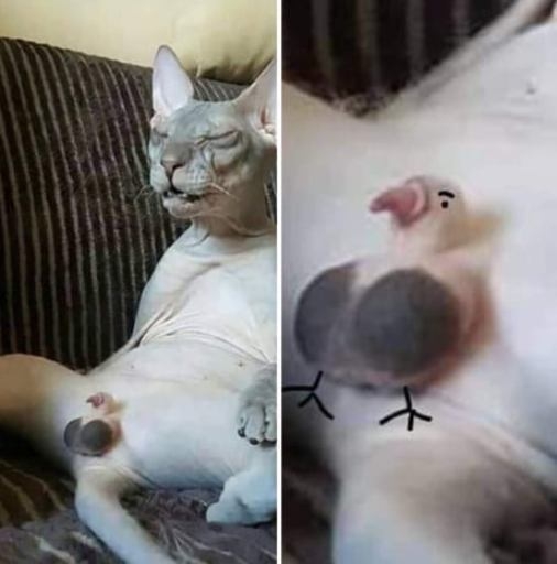 Ez jutott hirtelen eszembe a képről...