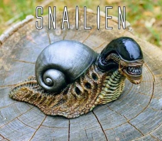 Hétfői agyzsibbasztó