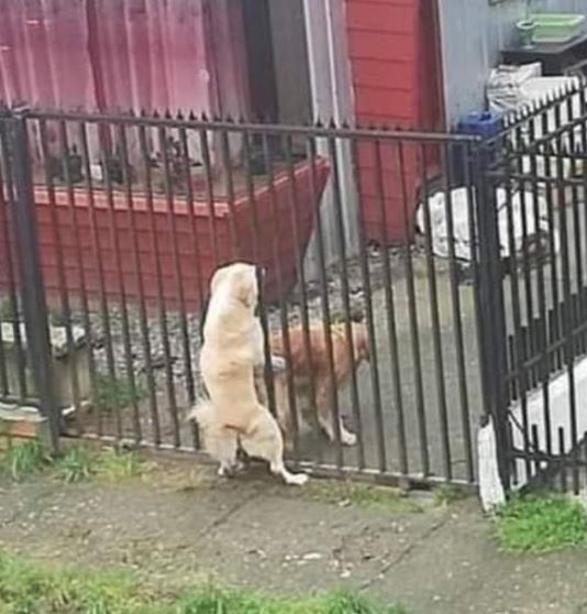 Előttük nincs akadály