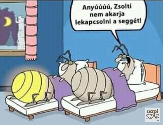 Egy este szentjánosbogáréknál