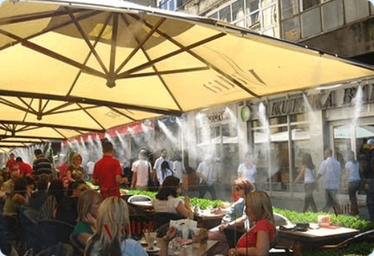 Frissítő párakapu - Nyári AKCIÓ! (x)