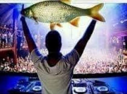 Tegnap este egy horgász buliban jártunk