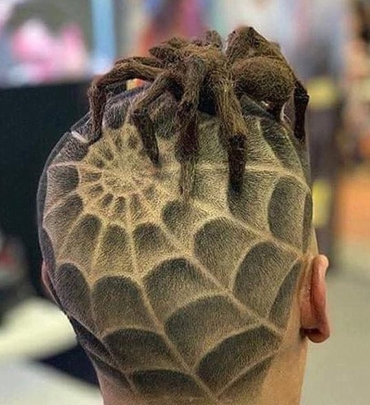 Vajon mennyi idő alatt készül el egy ilyen séró?