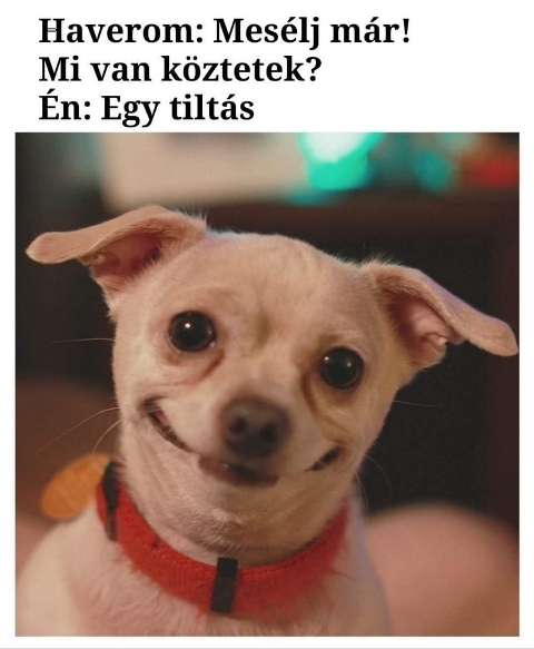 Minden nem jöhet össze