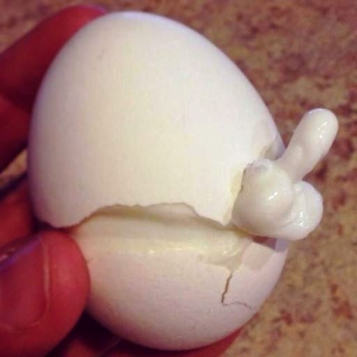 Szerinten tuti, hogy ebből kakas lett volna 