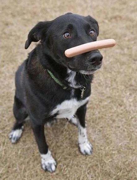 Akaraterő - A siker kulcsa