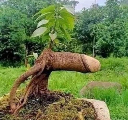 Ez meg mi a f@sz? 😮