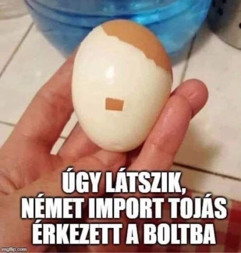Napi Führer
