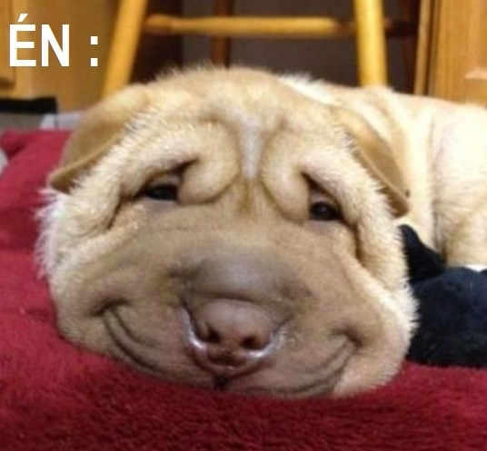 Haver, beb@szol hétvégén?