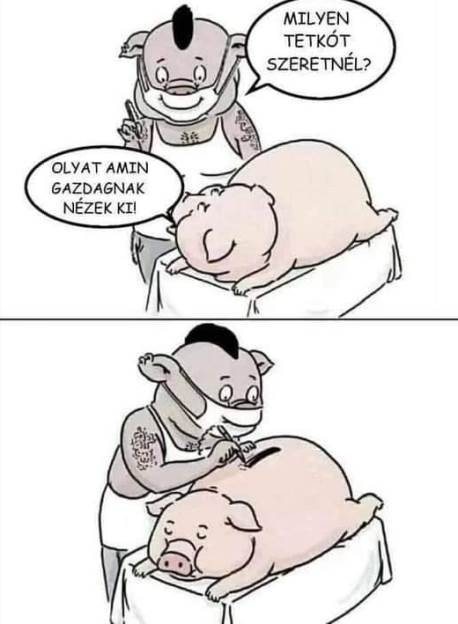 Ezt gyorsan megoldotta