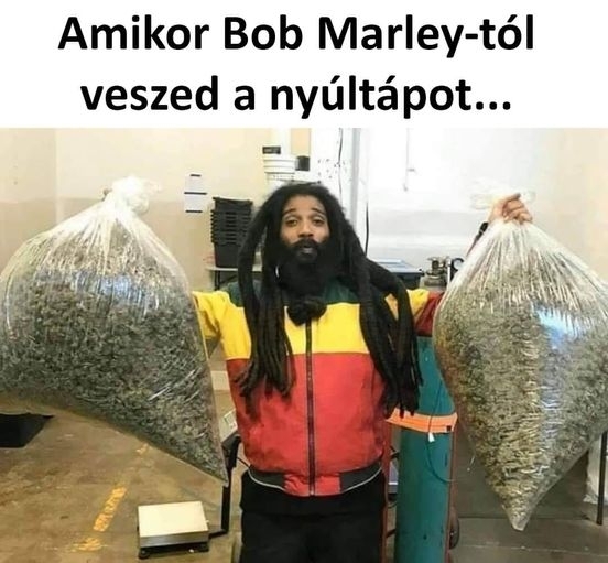A reggae zene legendás alakja