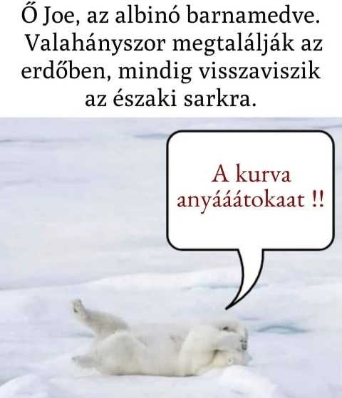 Rendszeresen kicsesznek szegénnyel