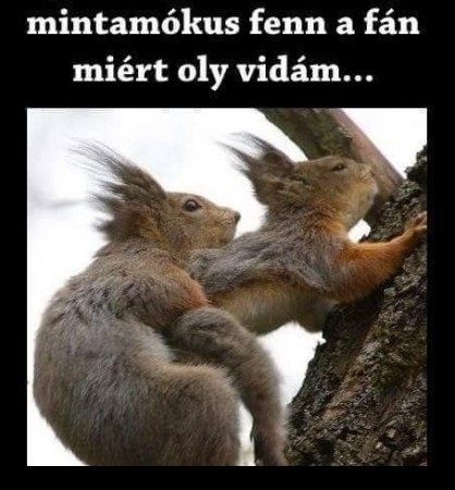 Végre megtudtuk, hogy 