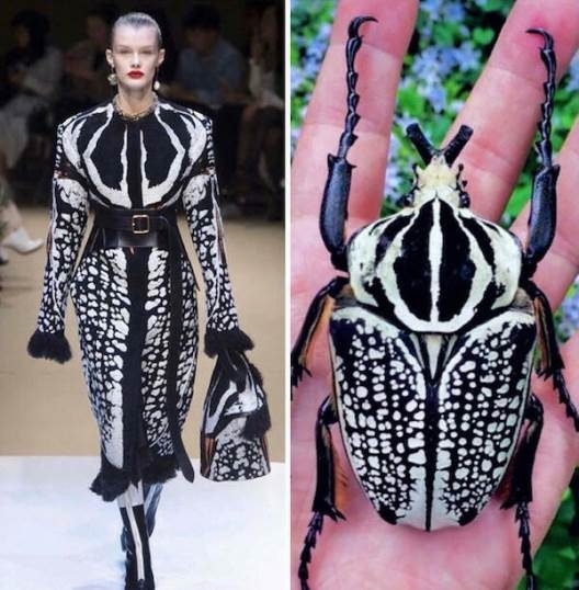 Kiderült, hogy honnan vették a mintát