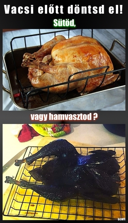 Napiszar - Gasztro rovat
