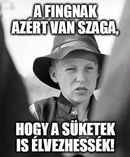 Bizarr tényfeltáró - Bendegúz tolmácsolásában