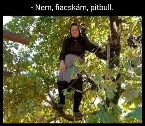 Mi történt Terike néni, Red Bull?