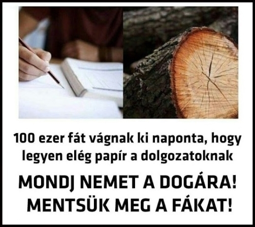 Ideje lázadni egy kicsit! 🙂