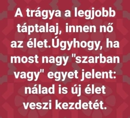 Napi pozitív