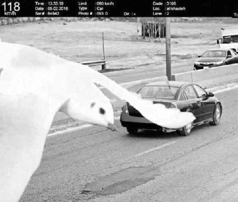 Amikor lekap a traffipax, de az égiek vigyáznak rád!