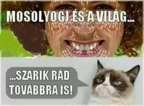 Gonoszkodik az internetes híresség