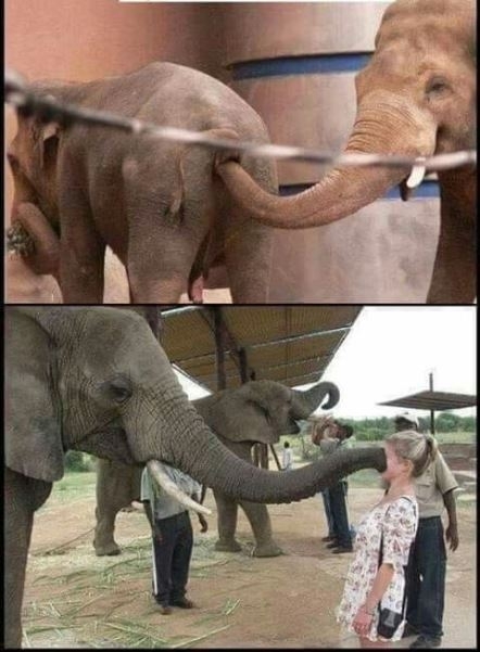 Szegény csajszi, ha tudná!