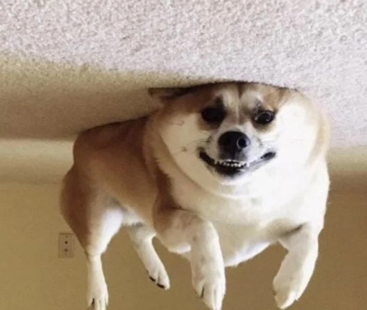 Archie megtalálta a héliumos palackot