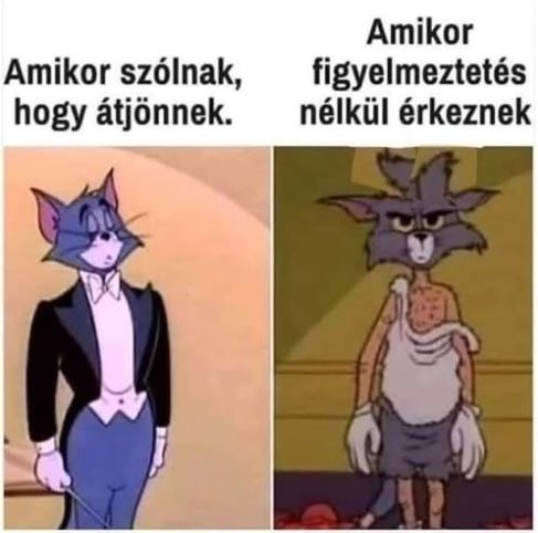 Vendégek