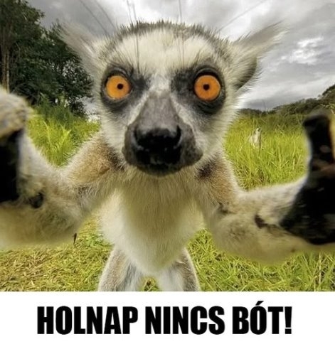 Még időben szólunk