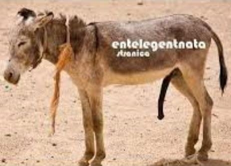 Remélem, hogy a csajok is észreveszik végre