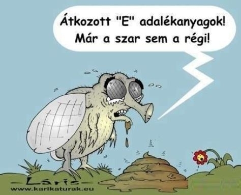 Hétköznapi csalódások