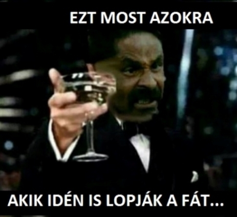 Kaslányos Rodrigó köszöntőt mond