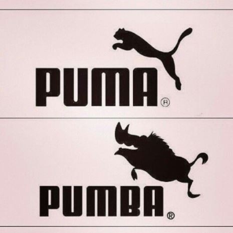 Új márka jelent meg a piacon