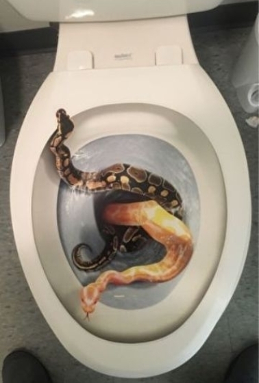 Vettem egy új WC-ülőkét - 4000 Ft