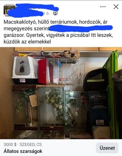 Vedd meg és vidd a pics@ba 🙂