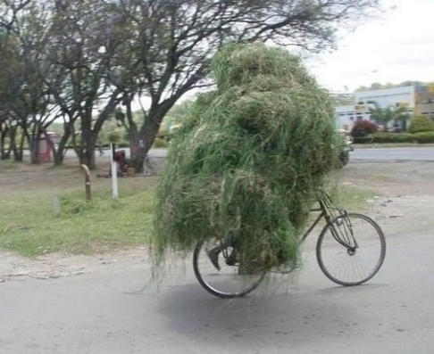 Balázs Puli nyeregbe pattant