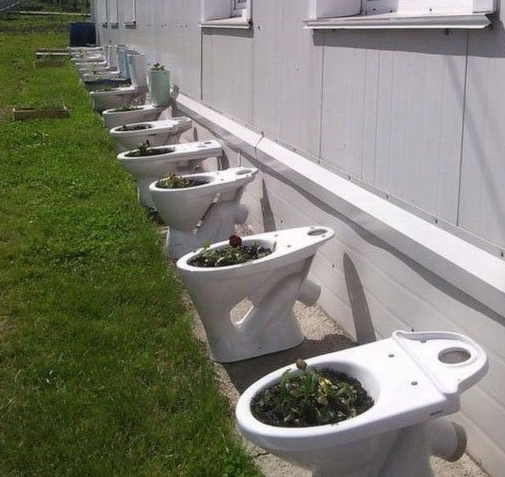 Egy kissé bizarr újrahasznosítás