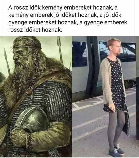 Napi tényfeltáró!