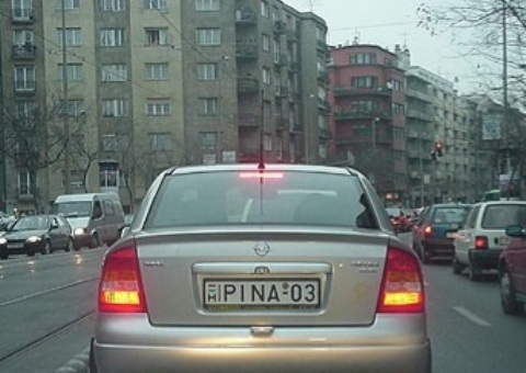 Vajon hölgy a tulajdonos?