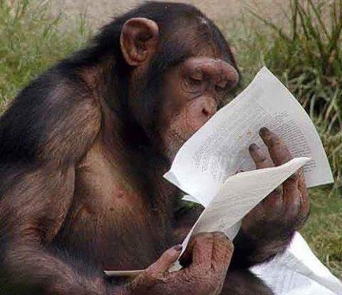 Itt azt írja, hogy szeret